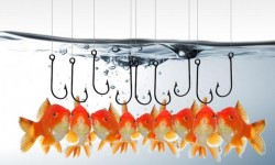 phishing