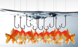 phishing