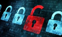 Insider threats make up 74% of business cyber security incidents